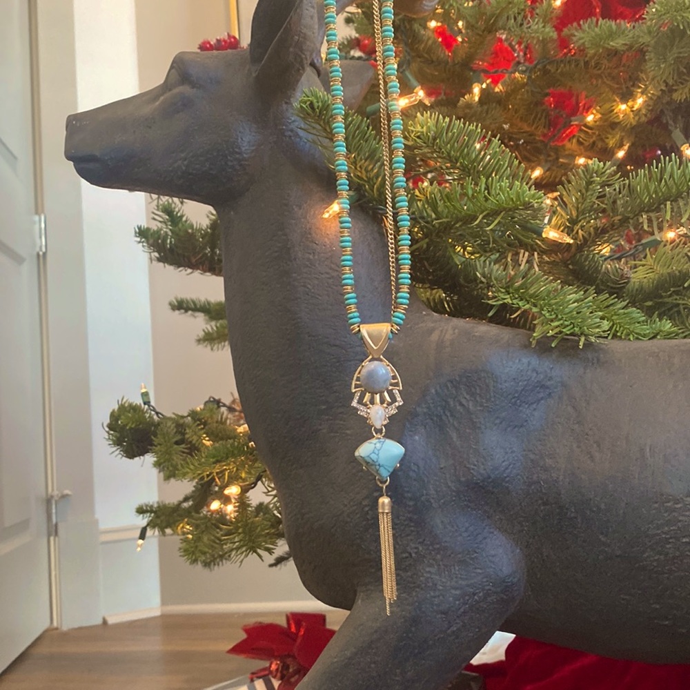 Brand new necklace